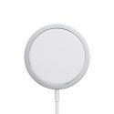 Apple Apple MagSafe Charger