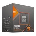AMD Procesor AMD Ryzen 5 8600G
