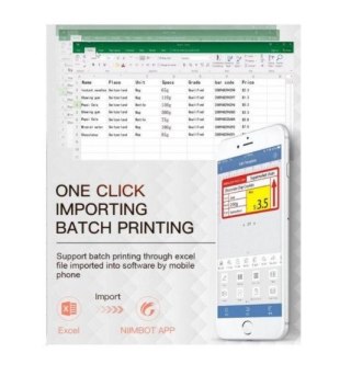 NiiMbot Drukarka Etykiet Niimbot B21 S biały