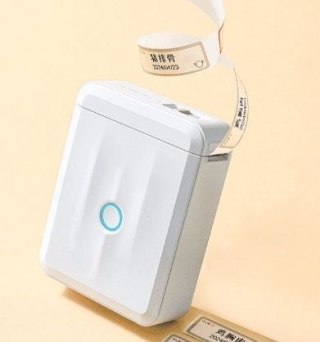 NiiMbot Drukarka Etykiet Niimbot D110_M biały