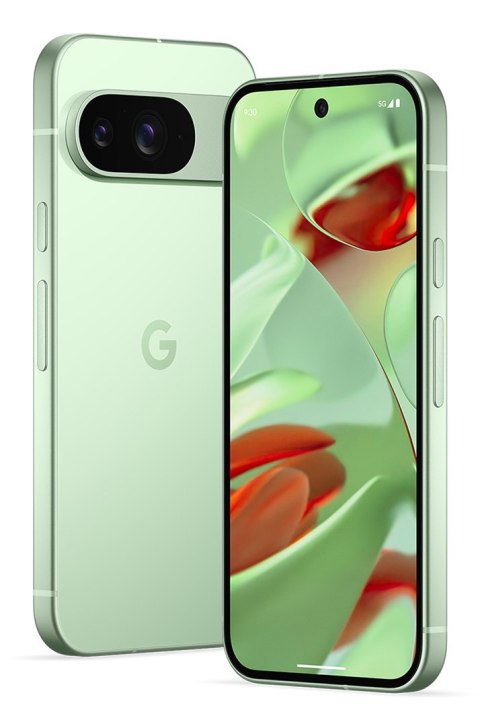 Google Smartfon Google Pixel 9 5G DualSIM 12/128GB Winter Green