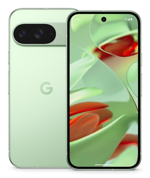 Google Smartfon Google Pixel 9 5G DualSIM 12/128GB Winter Green