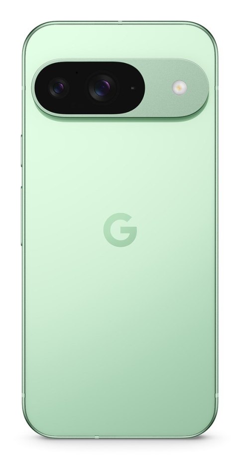 Google Smartfon Google Pixel 9 5G DualSIM 12/128GB Winter Green
