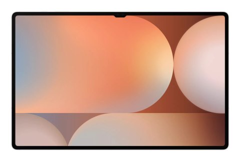 Samsung Samsung Galaxy Tab S10 Ultra (X920) 12/256GB Silver