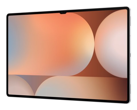 Samsung Samsung Galaxy Tab S10 Ultra (X920) WiFi 12/256GB Silver