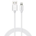SAVIO SAVIO KABEL USB-C DO LIGHTNING 2M CL-193