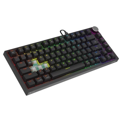 SAVIO SAVIO KLAWIATURA MAGNETYCZNA ASTRAL BLACK OUTEMU WHITE JADE RGB