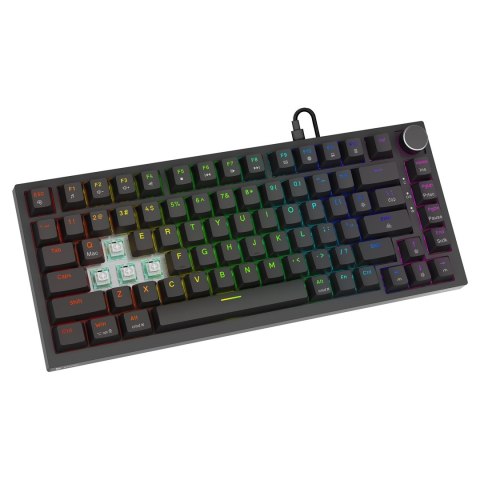 SAVIO SAVIO KLAWIATURA MAGNETYCZNA ASTRAL BLACK OUTEMU WHITE JADE RGB