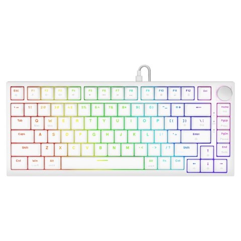 SAVIO SAVIO KLAWIATURA MECHANICZNA ASTRAL WHITE OUTEMU WHITE JADE RGB