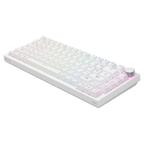 SAVIO SAVIO KLAWIATURA MECHANICZNA ASTRAL WHITE OUTEMU WHITE JADE RGB