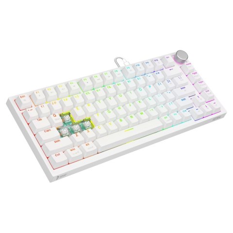 SAVIO SAVIO KLAWIATURA MECHANICZNA ASTRAL WHITE OUTEMU WHITE JADE RGB