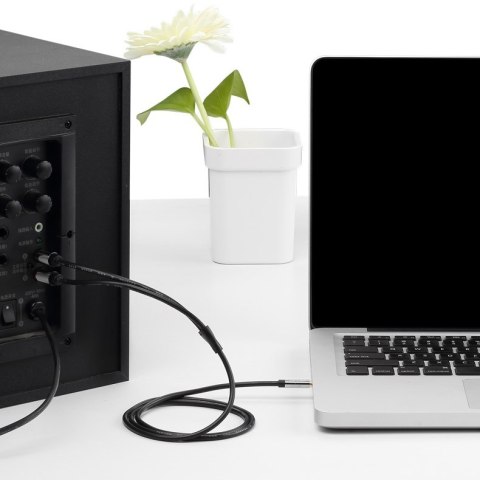 Vention Kabel audio 3,5 mm męski na 2RCA męski 3 m czarny