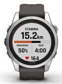 Garmin Zegarek sportowy Garmin Fenix 7S Pro Solar Silver SS Grapphite