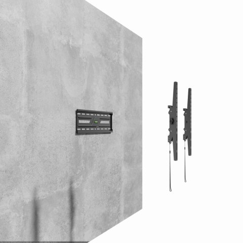 GEMBIRD GEMBIRD UCHWYT ŚCIENNY DO TELEWIZORA (REGULOWANY) 37"-75"