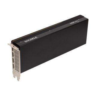 SPARKLE Karta graf. SPARKLE Intel Arc PRO B60 PASSIVE 24GB