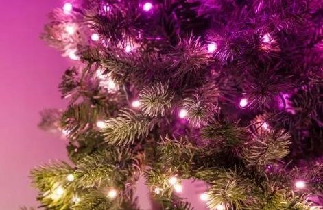 Twinkly Twinkly Pre-lit Tree -1.50m Choinka, 270 RGB LED, zielony przewód, typ wtyczki C