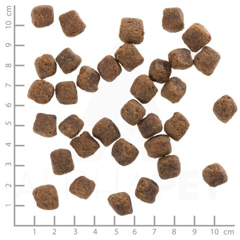 WOLFSBLUT WOLFSBLUT Black Bird Adult turkey/sweet potat.12,5kg (WYPRZEDAŻ)