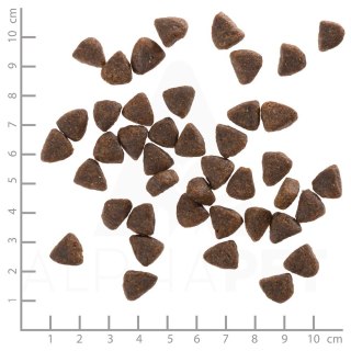 WOLFSBLUT WOLFSBLUT Wild Duck Adult duck with potatos 12,5kg (WYPRZEDAŻ)