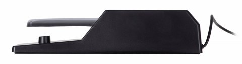 M-AUDIO M-AUDIO SP-2 Piano Sustain Pedal - Pedał Sustain Fortepianowy