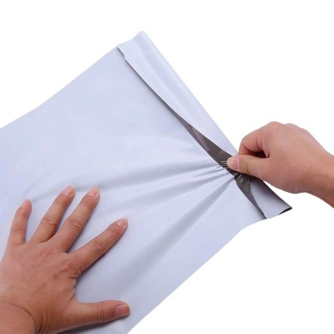 BESTPAK BSTech Foliopak koperta foliowa mocna FB05/C3 350X460 karton 1200 sztuk