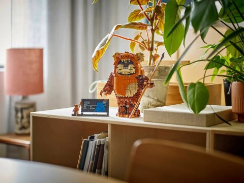 Lego LEGO Star Wars 75430 Ewok Wicket