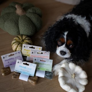 PAKA ZWIERZAKA Paka Zwierzaka PEPE VET Przysmak Skin and coat 70g