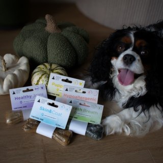 PAKA ZWIERZAKA Paka Zwierzaka Pepe Vet Kość Funkcjonalna zdrowe stawy 70g