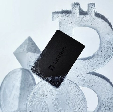 TANGEM Portfel kryptowalutowy Tangem Wallet - 2 karty