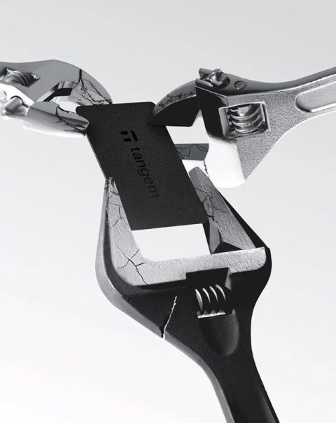 TANGEM Portfel kryptowalutowy Tangem Wallet - 2 karty