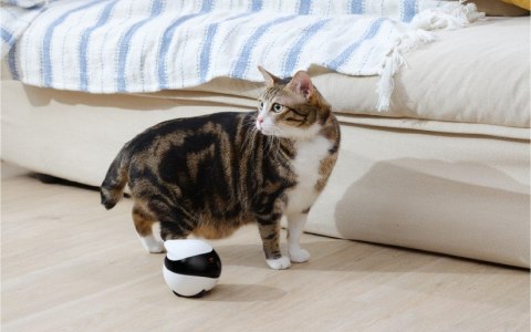 Enabot Robot ENABOT Ebo SE Biało-czarny