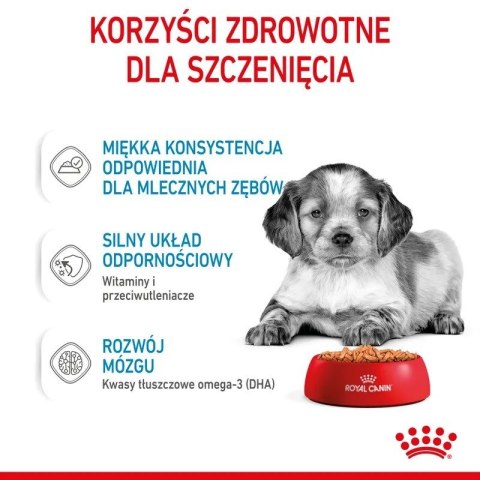 Royal Canin Karma ROYAL CANIN SHN Medium Puppy w sosie 10X140G