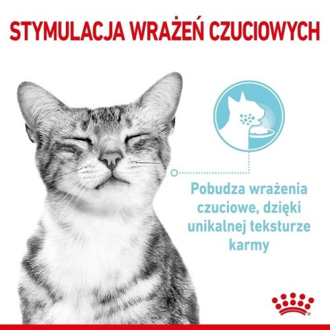Royal Canin Karma Royal Canin Sensory Feel gravy 12x85g