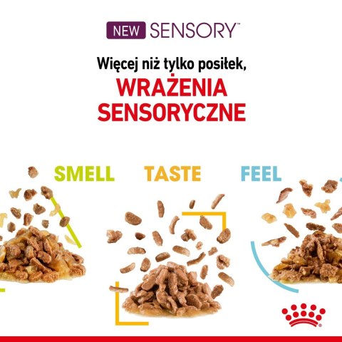 Royal Canin Karma Royal Canin Sensory Smell gravy 12x85g