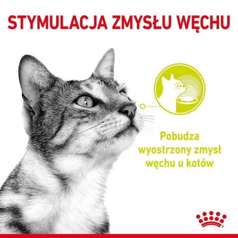 Royal Canin Karma Royal Canin Sensory Smell gravy 12x85g