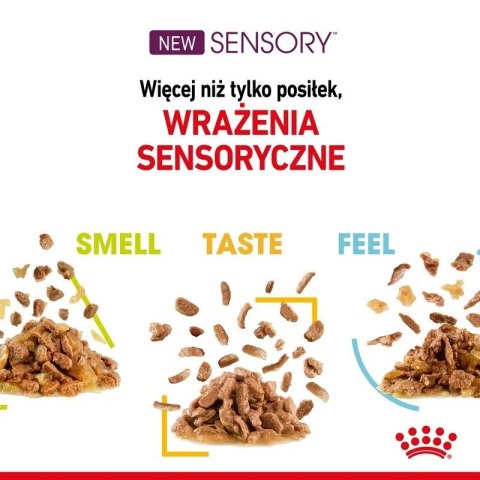 Royal Canin Karma Royal Canin Sensory Taste gravy 12x85g