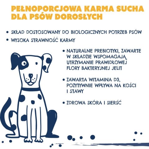 Teo TEO bogata w drób Karma sucha dla psa 9kg