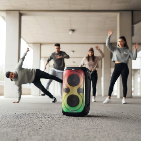 Blaupunkt System audio BLAUPUNKT PB60X