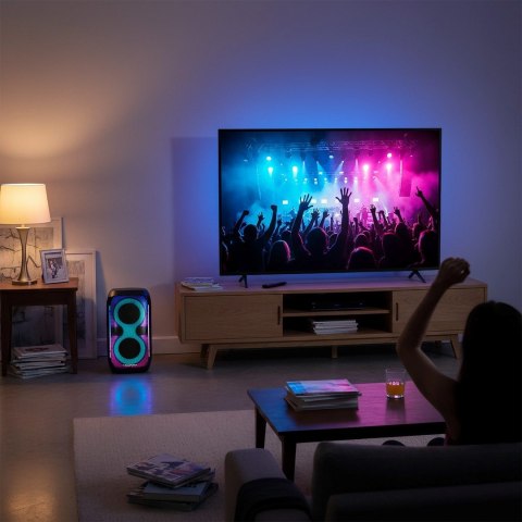 Blaupunkt System audio BLAUPUNKT PB60X