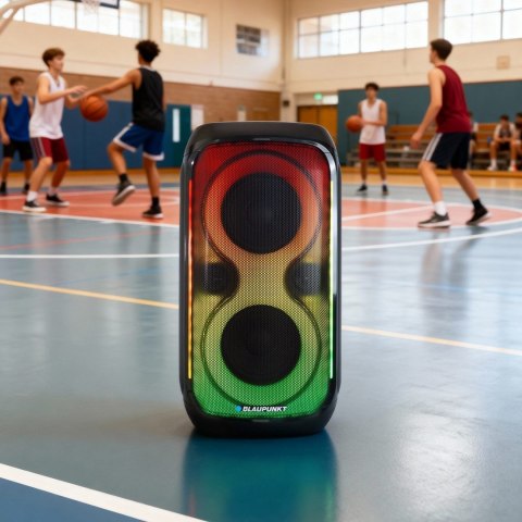 Blaupunkt System audio BLAUPUNKT PB60X