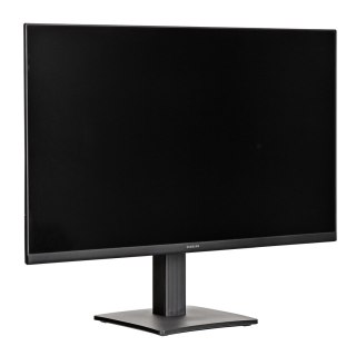 Samsung MONITOR SAMSUNG LED 24" LS24D304GAUXEN 100Hz
