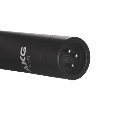 AKG AKG P170 - Mikrofon pojemnościowy, instrumentalny