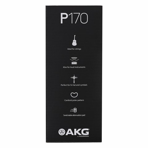AKG AKG P170 - Mikrofon pojemnościowy, instrumentalny