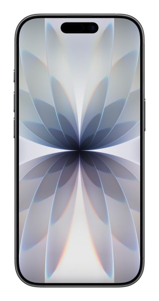 Apple Apple iPhone 17 256GB Black