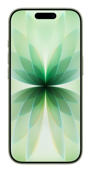 Apple Apple iPhone 17 256GB Sage