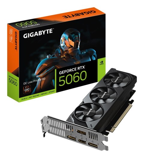 Gigabyte Karta graficzna Gigabyte GeForce RTX 5060 OC Low Profile 8GB