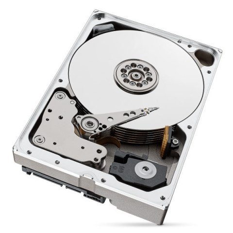 Seagate Dysk HDD Seagate IronWolf Pro (10 TB; 256MB; 3.5"; SATA)