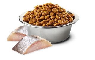 Farmina FARMINA N&D Spirulina Herring Adult Medium&Maxi - sucha karma dla psa - 7 kg