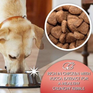 Gilpa Gilpa Kennel 15kg