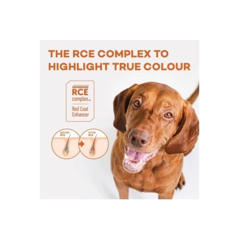 NATURE'S PROTECTION Nature's Protection Red Coat Grain Free Salmon & Krill Adult Small Breeds 1,5kg