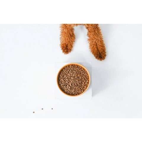 NATURE'S PROTECTION Nature's Protection Red Coat Grain Free Salmon & Krill Adult Small Breeds 10kg